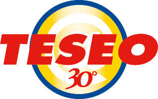 Logo di Teseo Support System